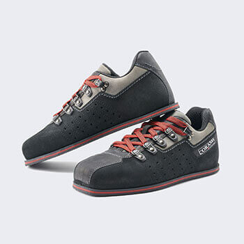 CORAMI<sup></sup> 102